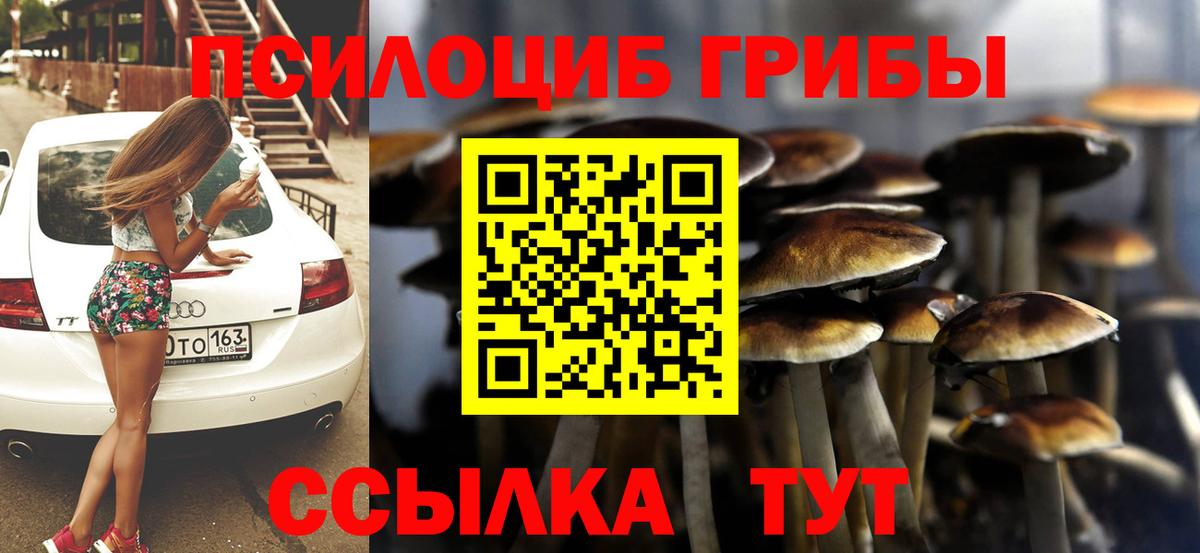 Северодвинск  Псилоцибиновые грибы ЛСД  Вход с VPN 