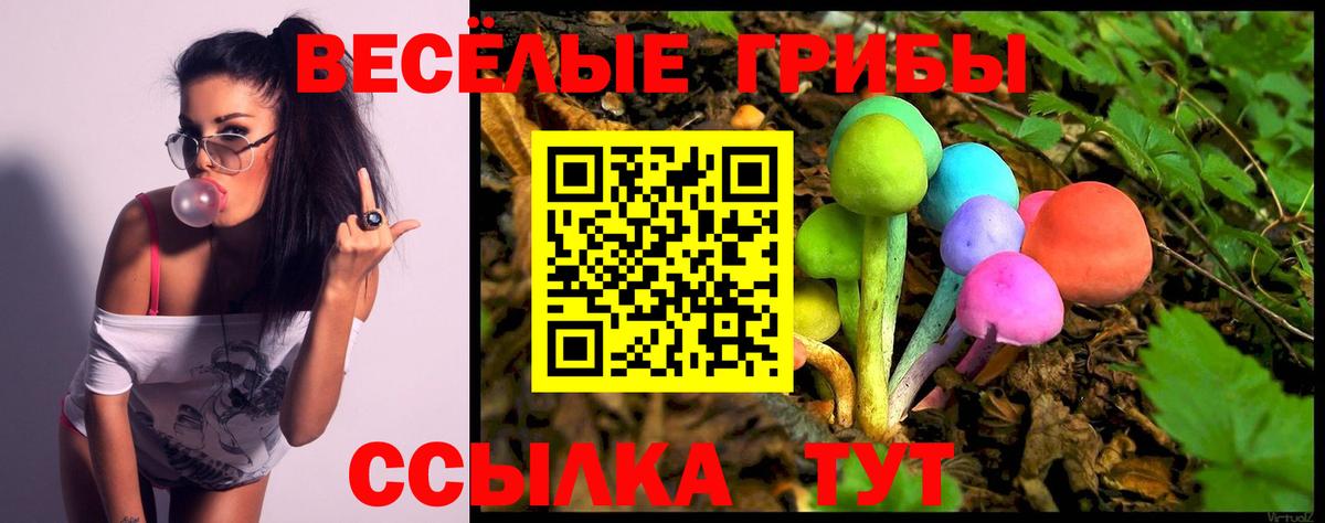 Псилоцибиновые грибы Psilocybe Северодвинск